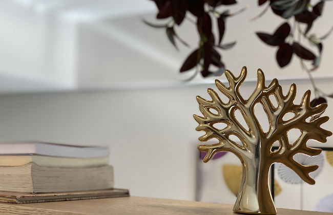 MBV - Anora Spaces . Flats Bela Vista - Foto 34