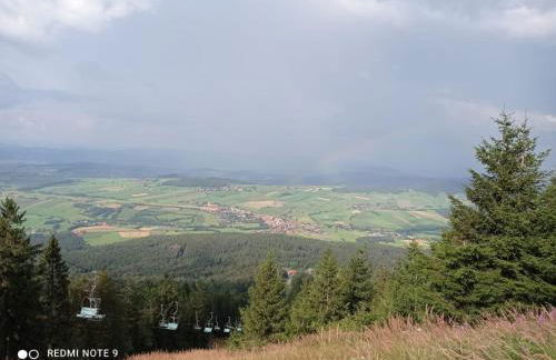 Bayerwaldhäusl - Foto 72