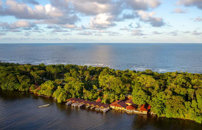 Tour di 2 o 3 giorni nel Parco Nazionale Tortuguero - Foto 2