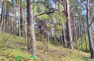 Apartament Baranek Nad Jeziorem - Foto 28