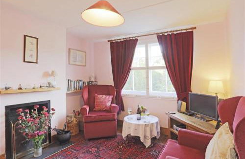 Hollyhocks - Photo 10