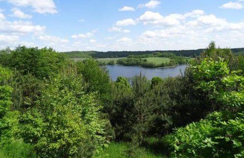 Jeleńczówka Alte Dorfschule - Foto 43