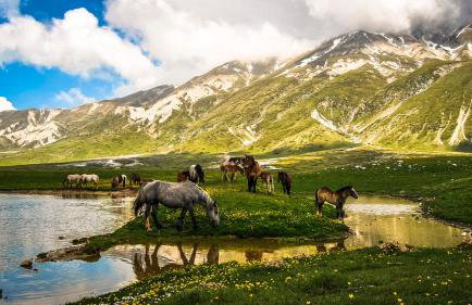 L'AURORA Locazione Turistica - Foto 46