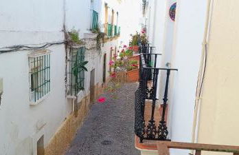 La Alboreá - Foto 13