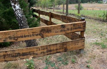 Pension Lausa - Foto 19