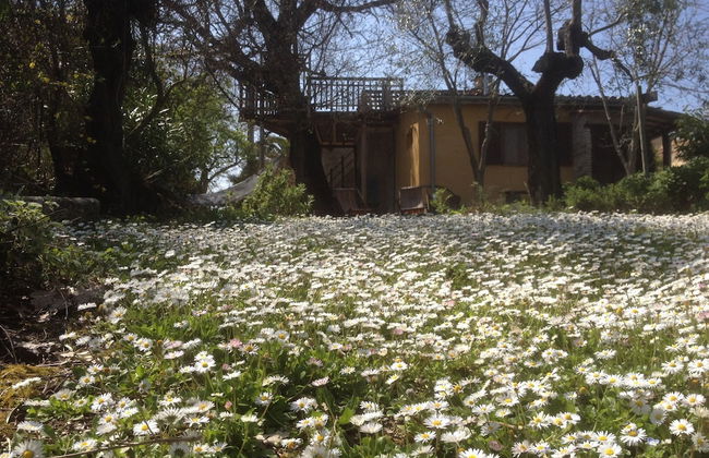 Agriturismo Via del Campo - Foto 27