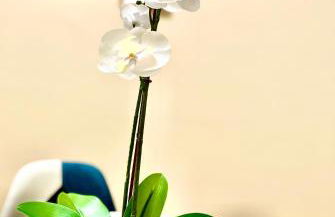 La Casa di Totta - Foto 16