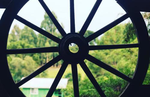 CHALÉ ESTÂNCIA OURO VERDE - Photo 17