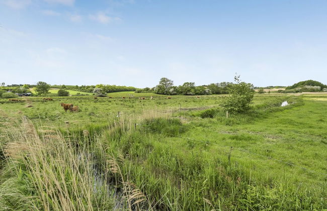 3 bedroom House in Broager with terrace and sauna - Photo 4