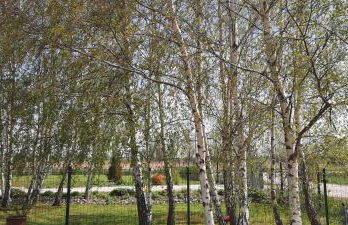 San Escobar Dziwnówek - Foto 14