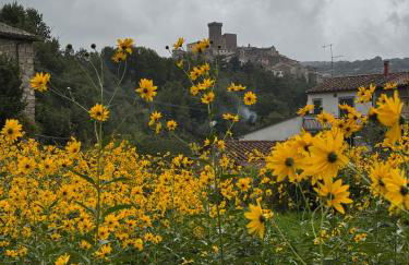 Podere San Ferdinando - Foto 8