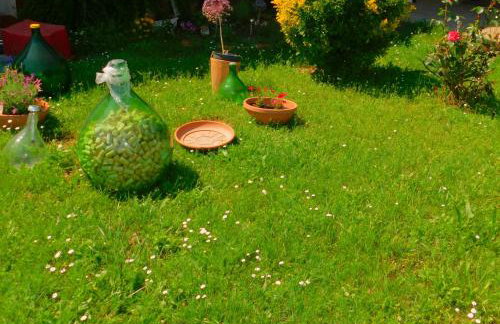 App Palčić K - Photo 57