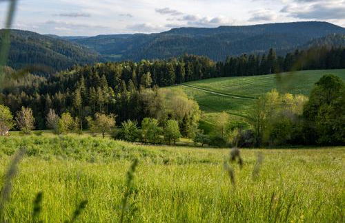 Hansjörgenhof Bioland-Hof - Foto 8
