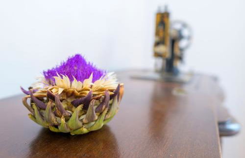 Gîte au calme avec jardin et wifi à Saint-Doulchard - FR-1-586-68 - Foto 32