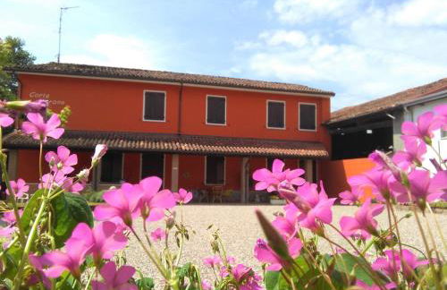 CORTE MORONA - Foto 5