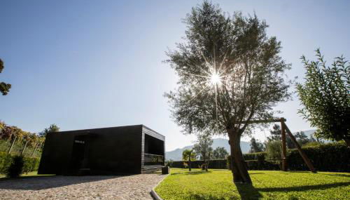 Casa da Bi - Photo 4