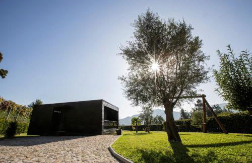 Casa da Bi - Photo 4