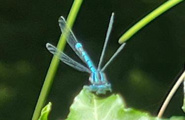 Veliki apartman Barbara s jacuzzijem za dvoje- Hreljin Crikvenica Rijeka - Foto 30