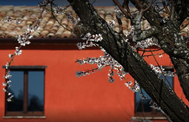 Agriturismo Segnavento - Zaccagnini - Foto 55