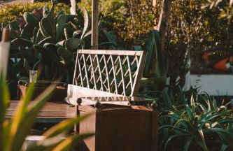 João Jungle - Foto 19