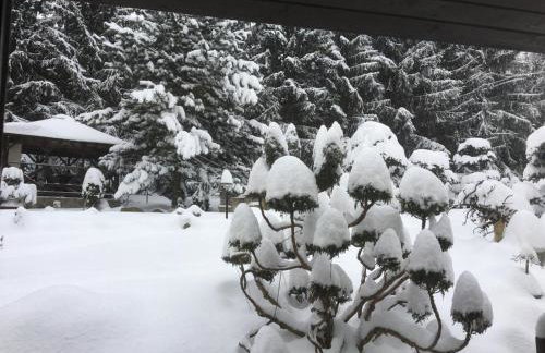 Skalny ogród - Foto 12