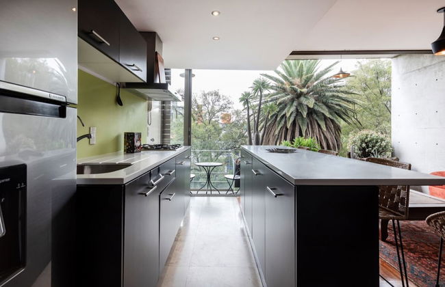 Destination Condesa @Tamaulipas Loft - Foto 4