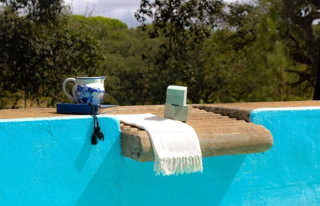 Quinta dos Anjos - Foto 30