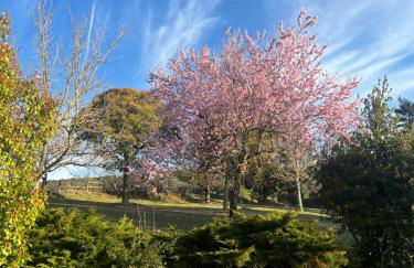 El Ventador de la Torra - Foto 15