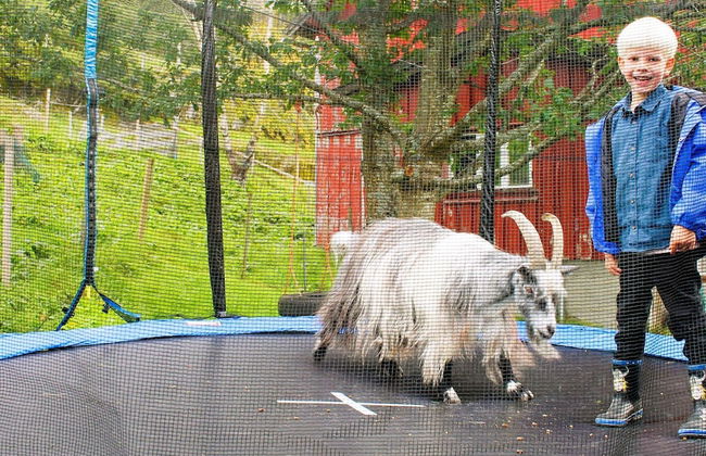 5 Person Holiday Home in Vagland - Photo 40