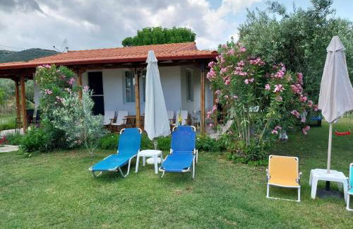 Bill & Eva's precious jewel - Photo 36