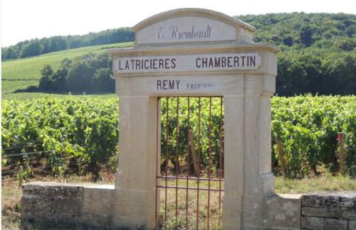Coeur Chambertin - Foto 15