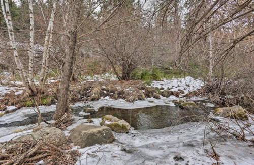 The Little Pine - Foto 10