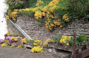 Ferienwohnung Cillien - Foto 3