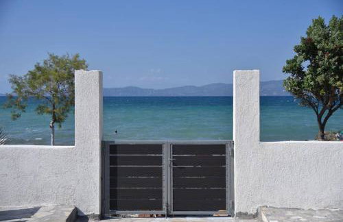 Family Apartments 3 - Foto 17