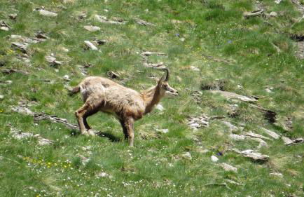 Appartement vue exceptionnelle, parking privatif, piscine - Foto 49