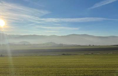 Drewniany dom w brzozowisku - Foto 59