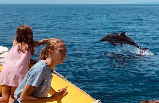 Avistamiento de cetáceos en el golfo de Tarento - Foto 5