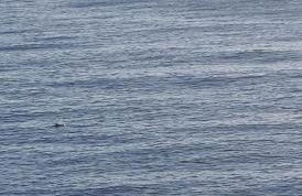 Duplex vue mer EXCEPTIONNELLE en Corse du sud proche plage - le 180Corse - Foto 34