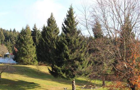 App mit Klima, Pool, Garage für Auto, Bike, Skier, AktivCARD optional - Foto 28