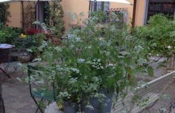 Albergo Residence Perosi - Foto 17