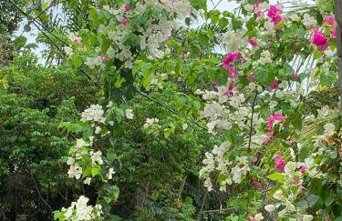 Large house with pool, barbecue and garden - Foto 31