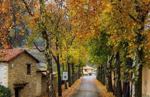 Casa Gargallo II - Foto 17