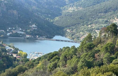 Casa Loureiro - Vista Rio Douro - Foto 39