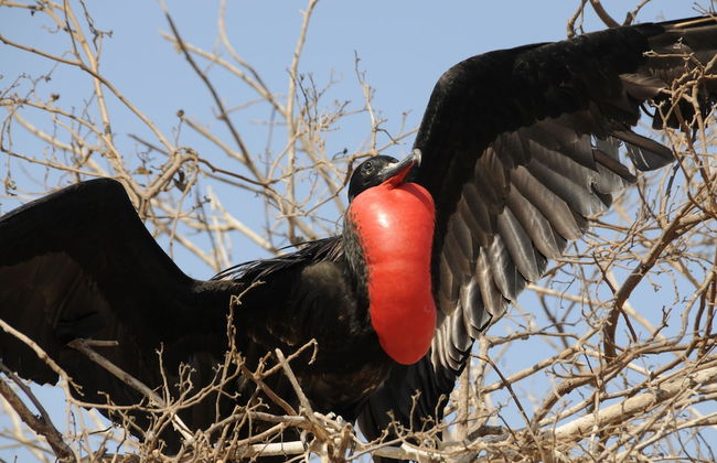 Galapagos and Beyond - Photo 36