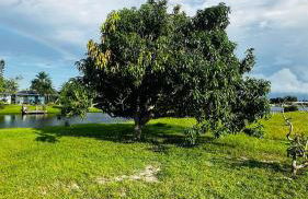 canalfront near beaches private home remodeled - Foto 18