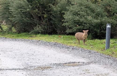 Kingfisher Lodge - Lakeside Lodge With Hot Tub - Foto 67