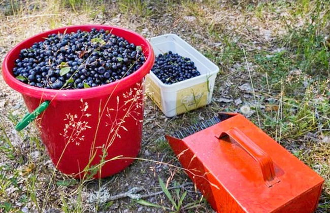 Idyllic Getaway With Private Beach - Foto 10