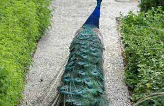 8 Mile House Deluxe - Foto 55