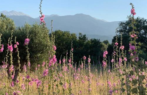 VILLA FATIMA - Foto 12