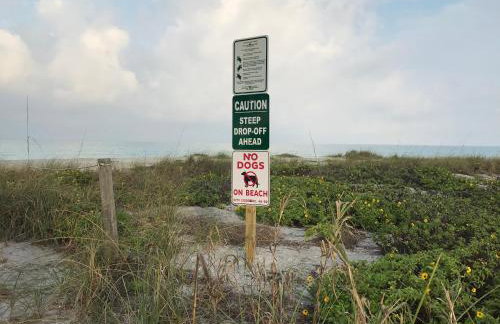 Beachfront Venice Casa de Villa - Photo 27